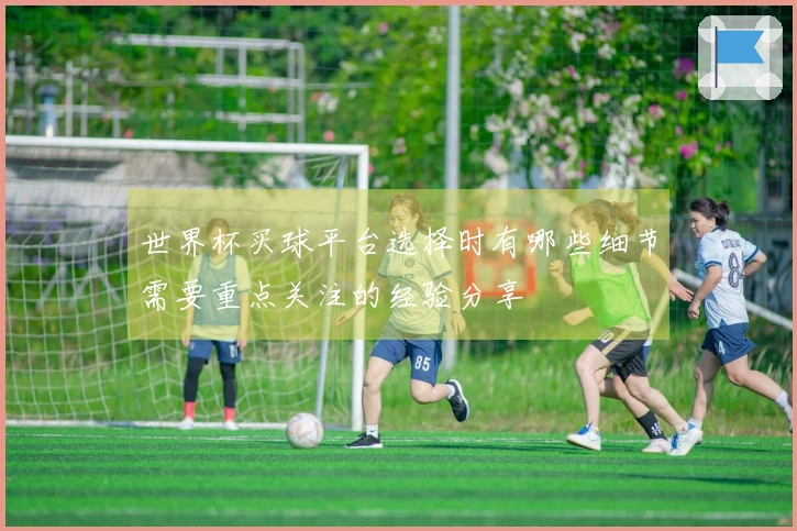 世界杯买球平台选择时有哪些细节需要重点关注的经验分享