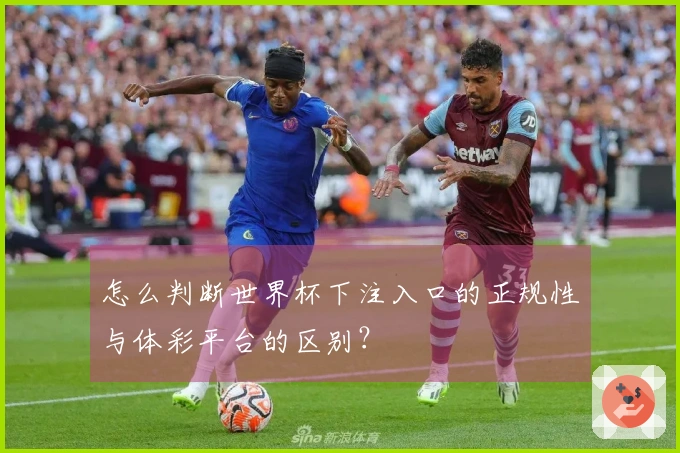 怎么判断世界杯下注入口的正规性与体彩平台的区别？