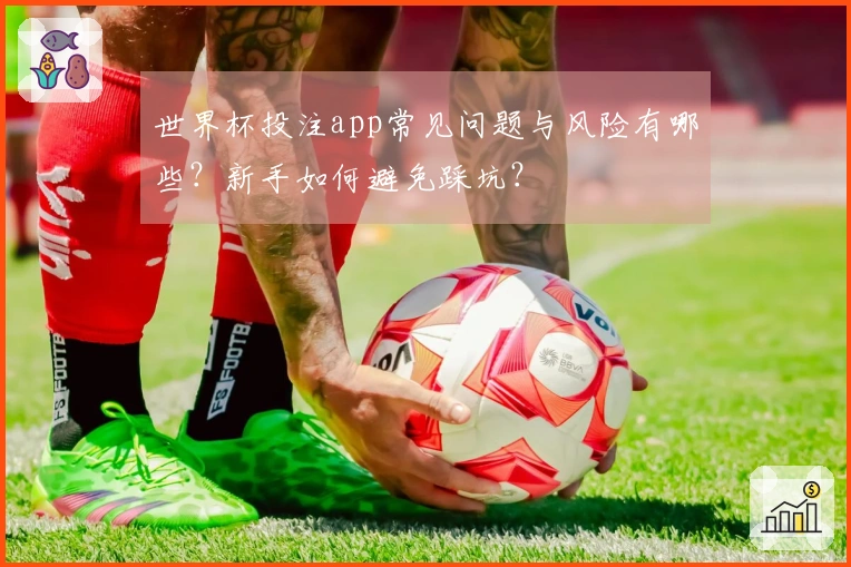 世界杯投注app常见问题与风险有哪些？新手如何避免踩坑？