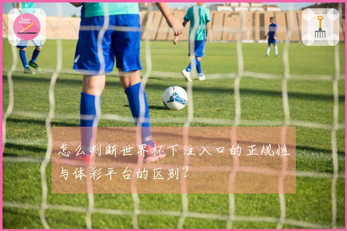 怎么判断世界杯下注入口的正规性与体彩平台的区别？