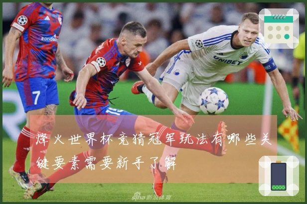 烽火世界杯竞猜冠军玩法有哪些关键要素需要新手了解